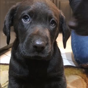 Meet your Posher, Kim